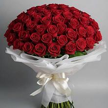 Букет 101 Красная роза Блэк Мэджик в Симбухово
