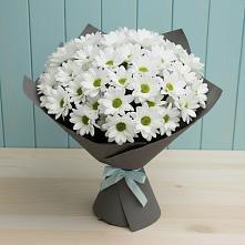 Букет цветов из:  Хризантемы #REPLACE_PRED# Симбухово