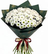 Букет цветов из:  Хризантемы #REPLACE_PRED# Симбухово