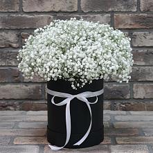 Цветочная композиция из Гипсофила в шляпной коробке #REPLACE_PRED# Симбухово