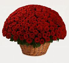 Премиум букет из: Розы #REPLACE_PRED# Симбухово