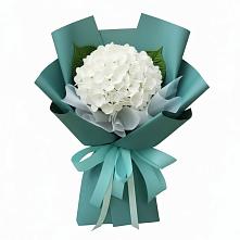 Букет цветов из:  Гортензия #REPLACE_PRED# Симбухово